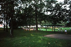 広島駅から徒歩10分、快適なビジネスと観光をサポートする東横INN広島駅南口右の魅力と詳細情報