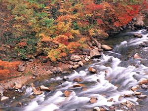 新潟駅徒歩1分の快適ビジネスホテル｜東横INN新潟駅前の魅力と詳細情報