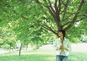 静岡県沼津市のビジネスホテル「東横INN富士山沼津駅北口1」の魅力と利用ガイド