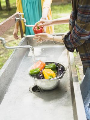 【2025年最新】埼玉で楽しむ！初心者からプロまで満足の体験農園ベストガイド