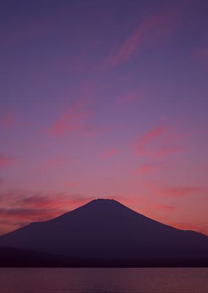 静岡市清水区に位置するビジネスホテル「東横INN静岡清水駅前」の魅力と詳細情報