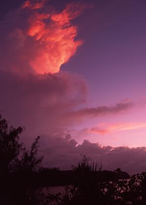 大阪で見つかる！アニメファン必見のおすすめストアと最新トレンド情報