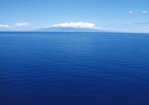 山口県徳山のビジネスホテル【東横INN徳山駅新幹線口】の魅力と利用ガイド