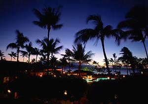 屋久島の自然を200％楽しめるツアー