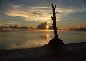 【公式情報】東横INN新宿御苑前駅3番出口｜東京都新宿区の便利なビジネスホテルと宿泊予約ガイド