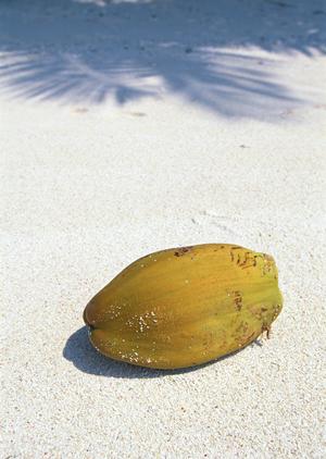 JR九州ホテル宮崎: 快適な宿泊体験を提供する魅力