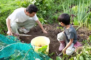 多くの設備が整えられている魅力的な宿